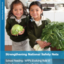 Strengthening National Safety Nets cover